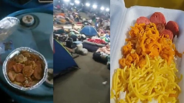ALIMENTACAO