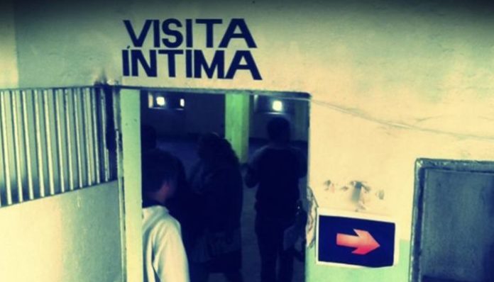 Leide Feitosa (9)