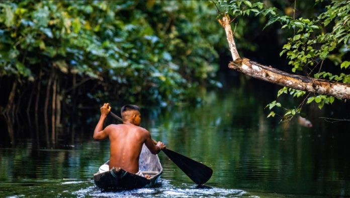 AMAZONIA