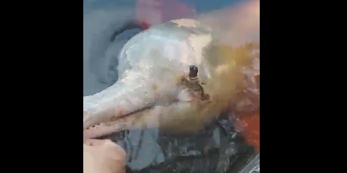 02-1