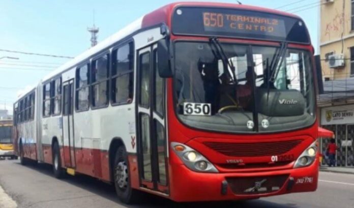 ONIBUS 650 (2)