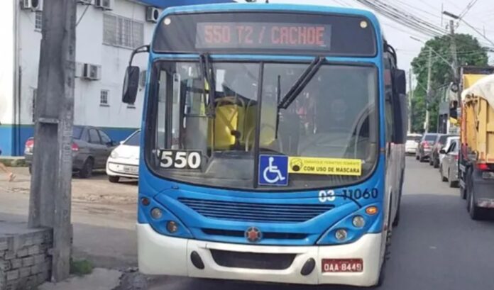 ONIBUS 550 (2)
