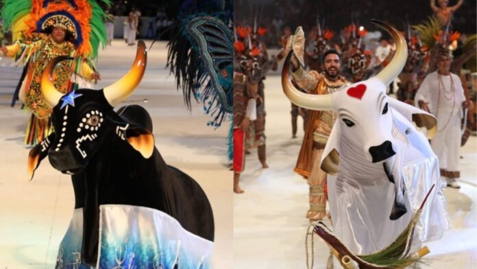 caprichoso-e-garantido-festival-de-parintins-fotos-michael-dantas-sec-am