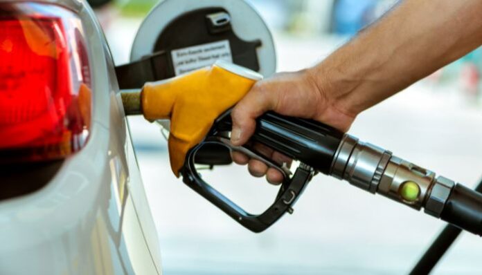 gasolina