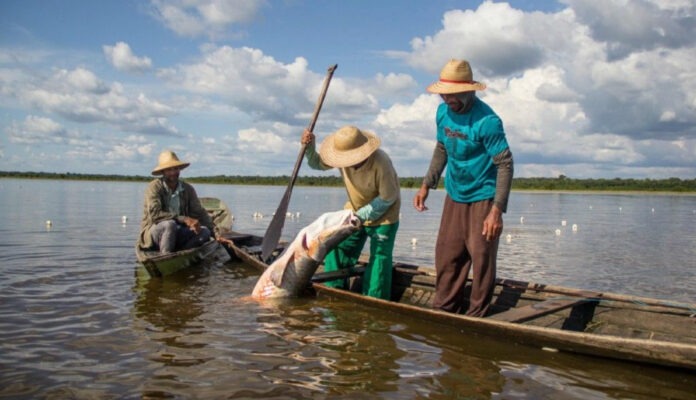 PESCADORES