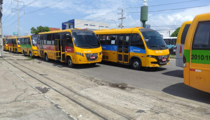 AMARELINHOS