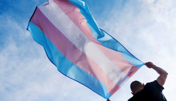 BANDEIRA TRANS(2)