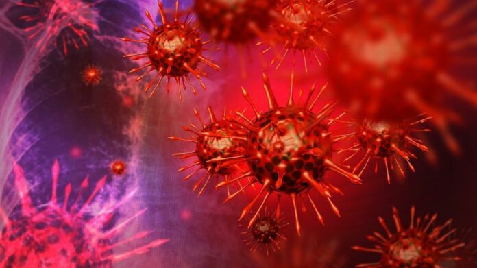 variante-delta-novo-coronavirus-1630688707890_v2_900x506
