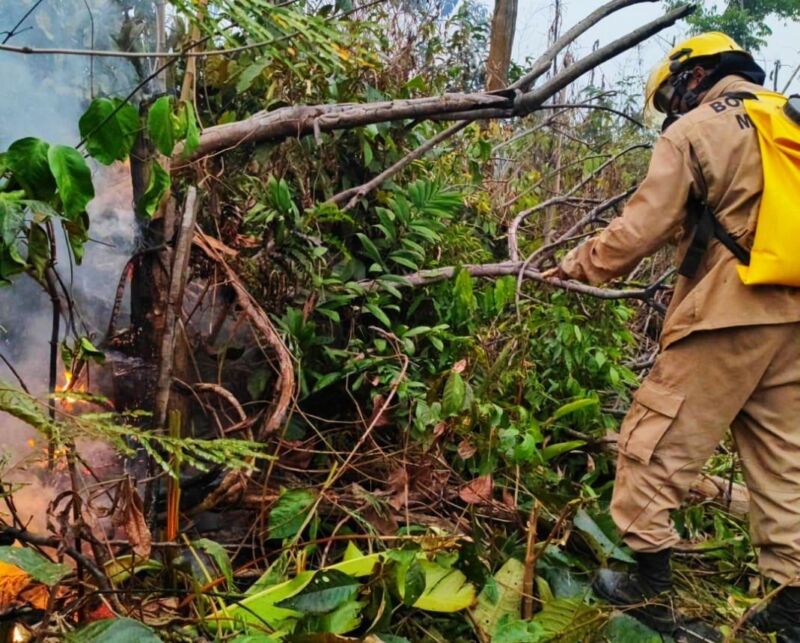 CBMAM_INCENDIO-NA-COMUNIDADE-PARQUE-DAS-TRIBOS_2