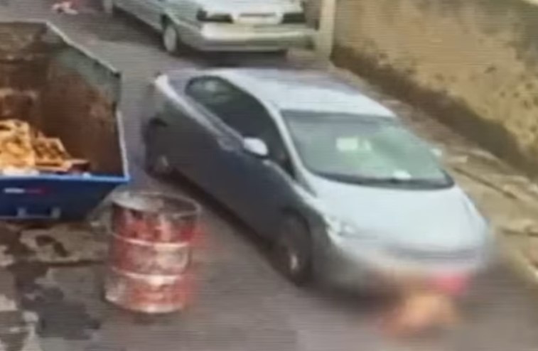 gwwgwgwg
