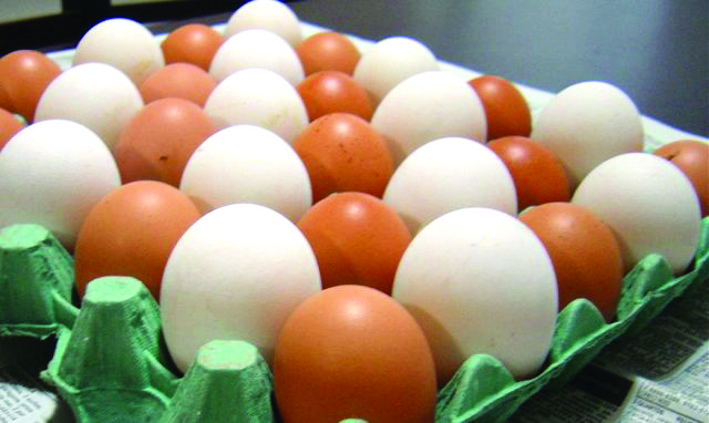 ovos