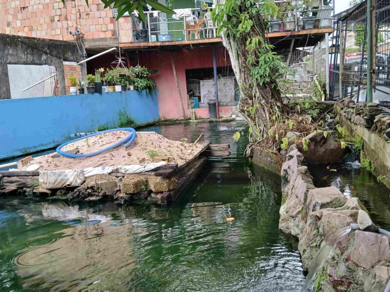Local-onde-estavam-os-animais-Foto-5-11-03-2025-1536x1152