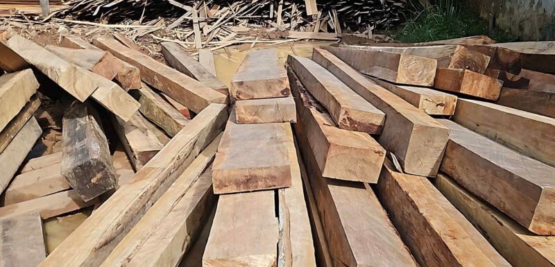 Madeiras-encontradas-durante-fiscalizacao_Foto-2-Divulgacao-Ipaam-26-03-2025-1536x740