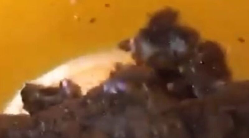 F