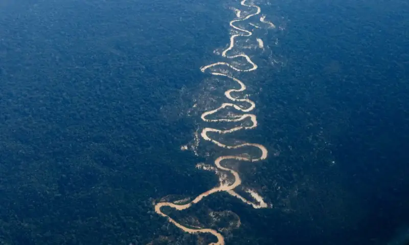 yanomami-frazao-10