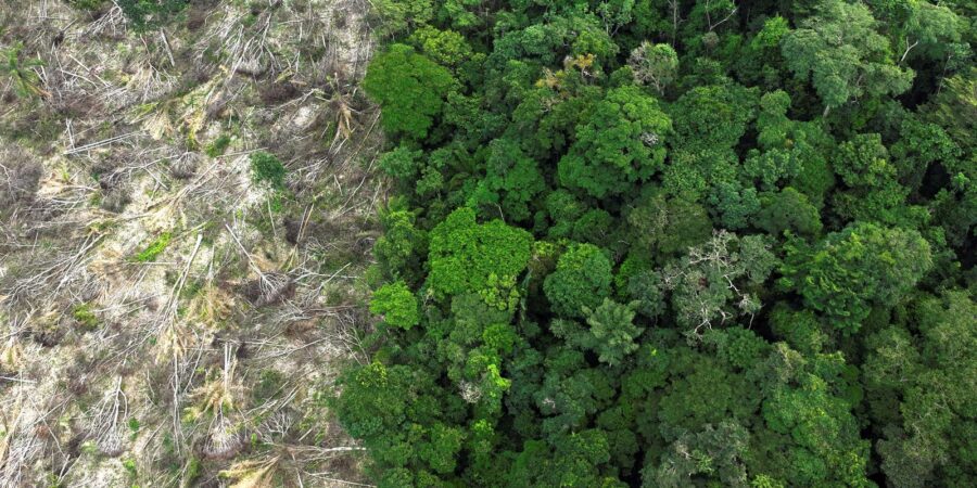 amazonia_desmatamento_1