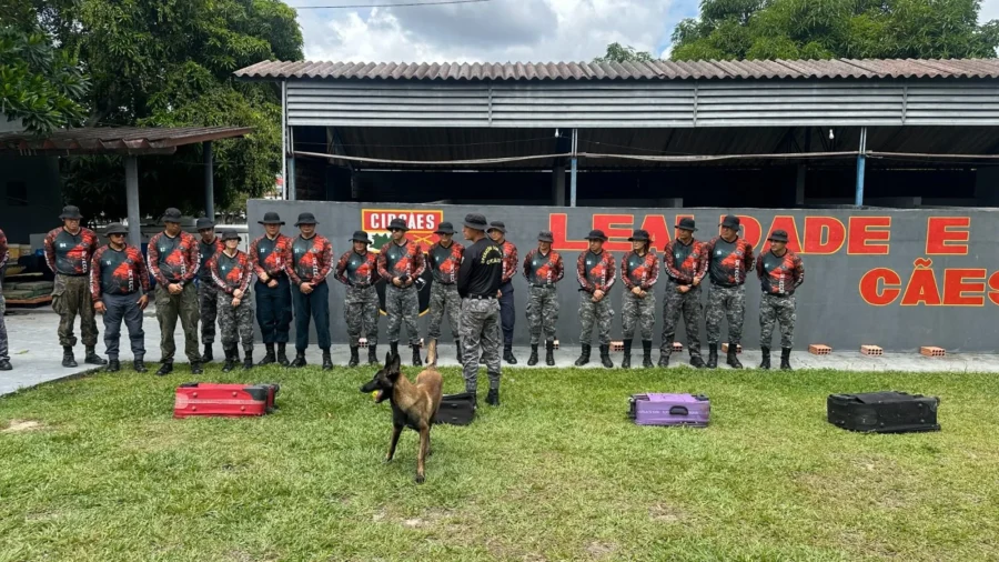Polícia Militar do Amazonas qualifica policiais no uso de cães farejadores para detecção de substâncias