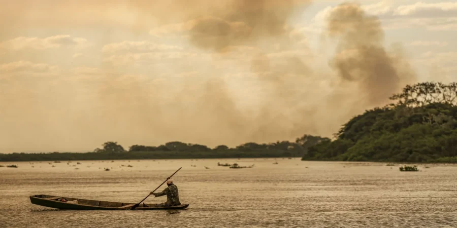 Plano Clima é publicado como guia para economia de baixo carbono no Brasil