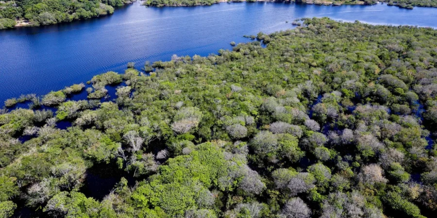 Governo abre edital de R$ 131,9 milhões para combater desmatamento na Amazônia com foco em 48 municípios
