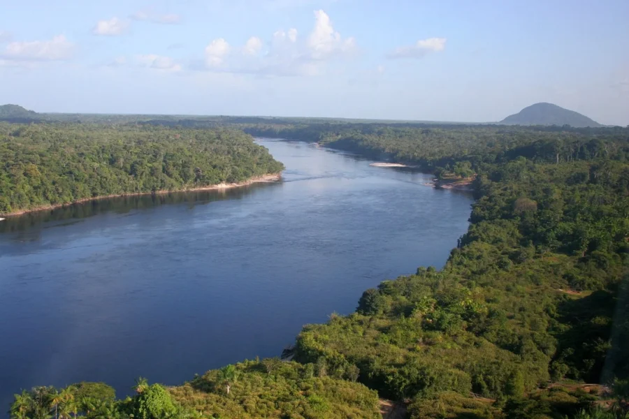 Fapeam e Fapesp abrem edital para projetos de pesquisa em bioeconomia amazônica