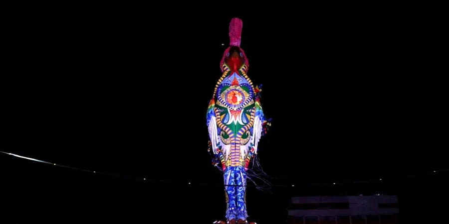 Galo Gigante presta homenagem a Dom Helder Câmara no Carnaval recifense