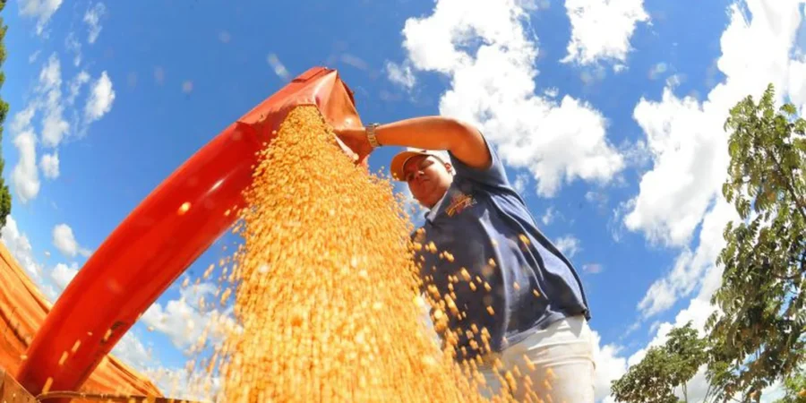 Produção de grãos do Brasil caminha para safra recorde de 353,4 milhões de toneladas
