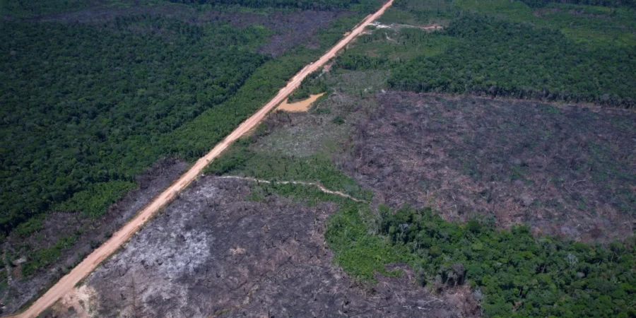 Alertas de desmatamento caem 35% na Amazônia e 6% no Cerrado, aponta Inpe
