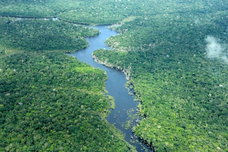 Amazonas registra queda histórica no desmatamento em janeiro de 2026