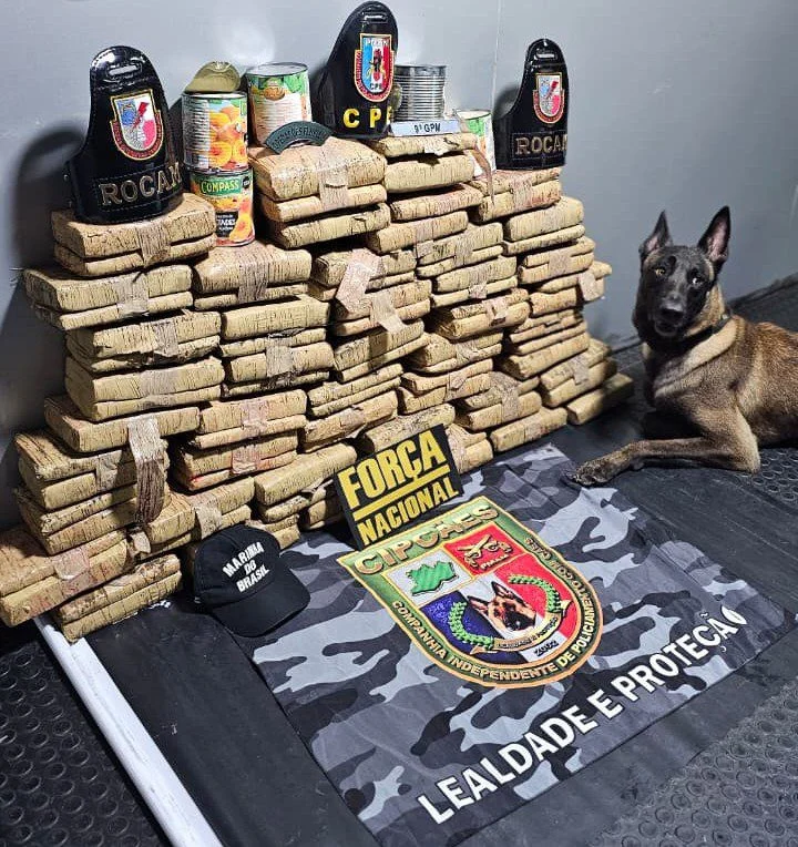 Base Arpão 2: Polícia Militar apreende mais de 70 kg de drogas em Coari