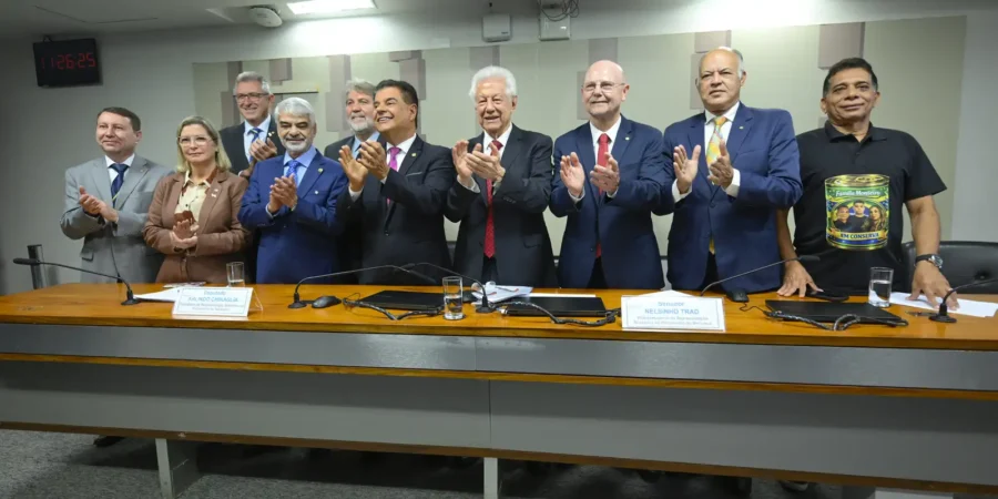 Representação Brasileira do Parlasul aprova por unanimidade acordo Mercosul-UE