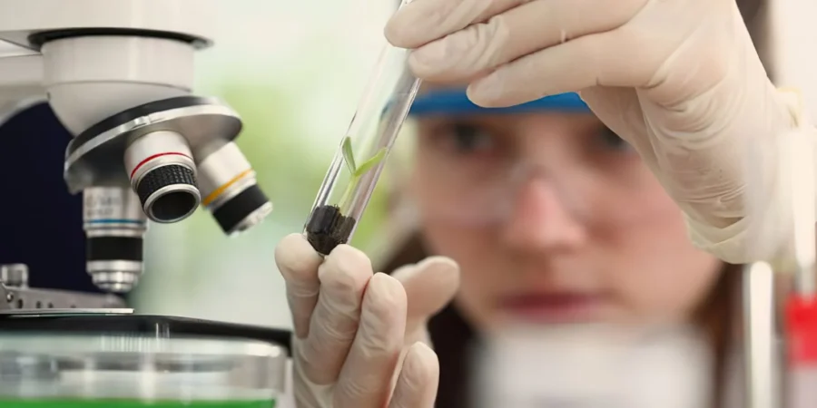 Observatório Nacional lança edital do programa Meninas Cientistas do ON
