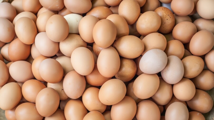Como-preparar-ovo-de-diferentes-formas-para-nao-sair-da-dieta