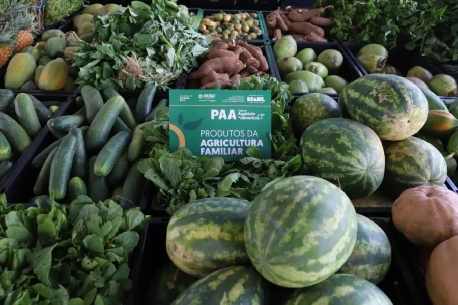 Edital do PAA no Amazonas abre inscrições para agricultores indígenas e comunidades tradicionais