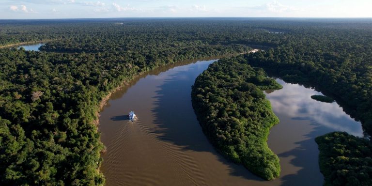 Ipaam_Reducao-desmatamento-Amazonas-em-2025_MapBiomas_Credito-da-foto-1_Reproducao-Internet-28-05-2026-768x384