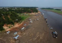 Com avanço do El Niño, Amazonas entra em emergência climática por 180 dias
