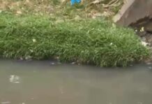 Corpo de jovem é encontrado em igarapé na Compensa em Manaus