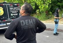 Homem é encontrado morto em área de mata no Cidade Nova em Manaus