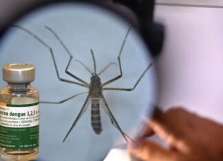 Vacina contra a dengue suspensa pelo Ministério da Saúde foi aplicada em 500 mil pessoas