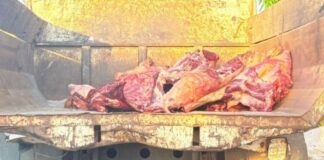 Operação apreende quase três toneladas de carne estragada no Amazonas