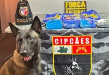 Droga é encontrada dentro de salgadinho durante fiscalização em embarcação no rio em Coari