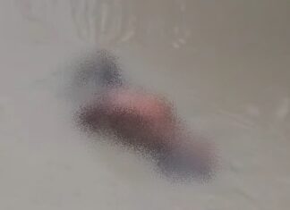 Corpo de homem com sinais de execução é achado em igarapé de Manaus
