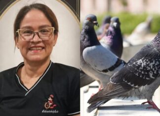 Professora morre após contrair doença associada a fezes de pombos em escola de Manaus