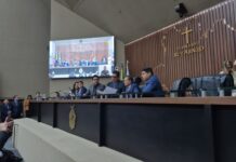 Adjuto Afonso é eleito presidente da Aleam com apoio de Roberto Cidade