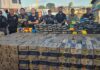 Cão farejador encontra 123 kg de drogas ocultos em embarcação no interior do Amazonas