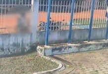 Homem invade delegacia para intimidar ex-mulher e acaba preso em Humaitá