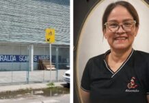 Doença do pombo mata professora e gera revolta em escola de Manaus