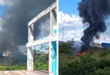 Fogo em área de vegetação assusta moradores e gera grande cortina de fumaça na zona norte