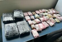 Cão farejador ajuda PF a localizar 10 quilos de skunk e haxixe em aeroporto no AM