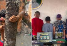 Homem é encontrado amarrado a coqueiro com sinais de agressão e quatro são presos em Maués