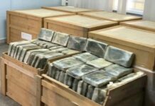 Polícia intercepta carregamento de 967 kg de drogas durante operação na AM-010